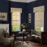 Roller Shades in Blue Room