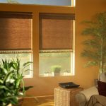 Roller Shades with Trim