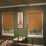 Roller Shade with Valance